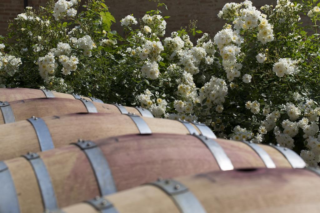 Marchesi Alfieri - Cantine E Ospitalita San Martino Alfieri Zewnętrze zdjęcie
