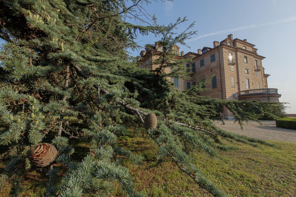 Marchesi Alfieri - Cantine E Ospitalita San Martino Alfieri Zewnętrze zdjęcie