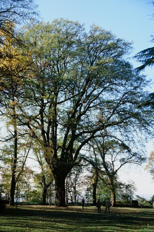 Marchesi Alfieri - Cantine E Ospitalita San Martino Alfieri Zewnętrze zdjęcie