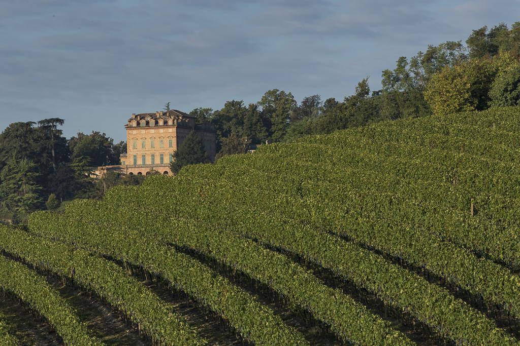 Marchesi Alfieri - Cantine E Ospitalita San Martino Alfieri Zewnętrze zdjęcie